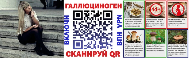 закладка  Звенигово  Галлюциногенные грибы MAGIC MUSHROOMS 